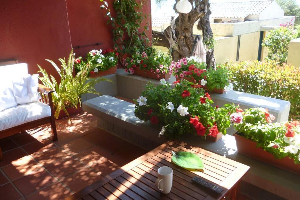 Relaxation And Peace Barbati